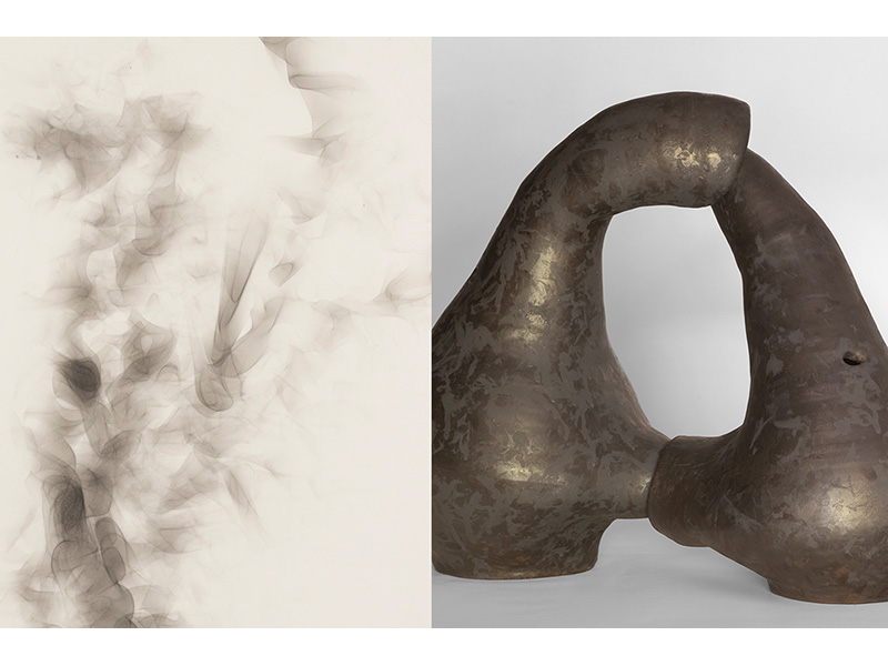 Event Image: Tender Alchemy: Beth Ames Swartz and Julianne Swartz