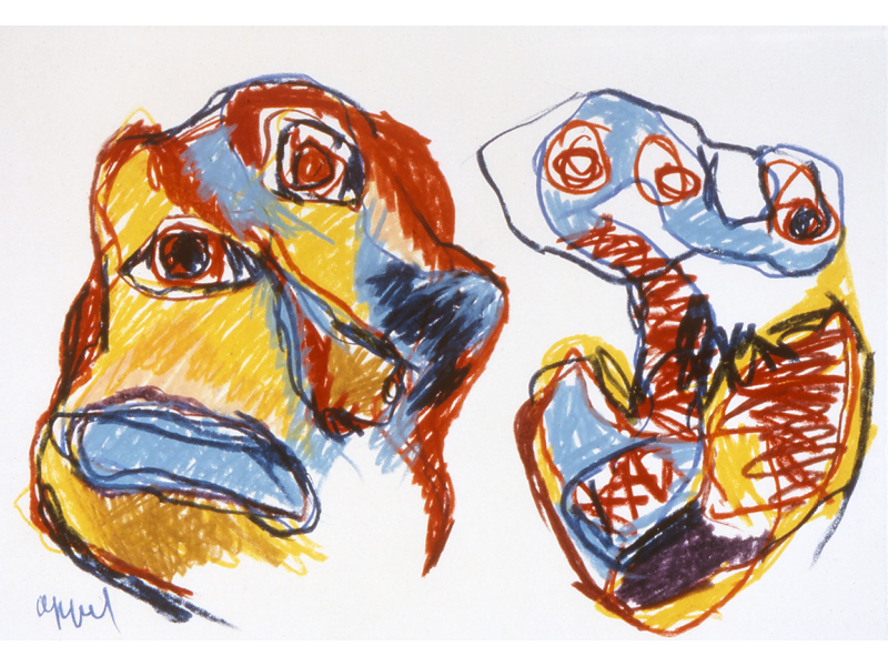 Header Image
