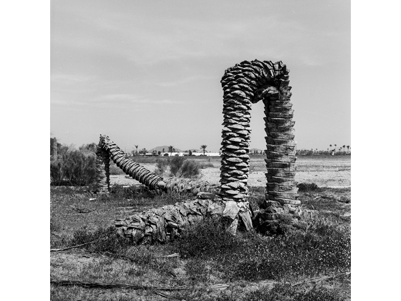 Event Image: Desert Perspectives