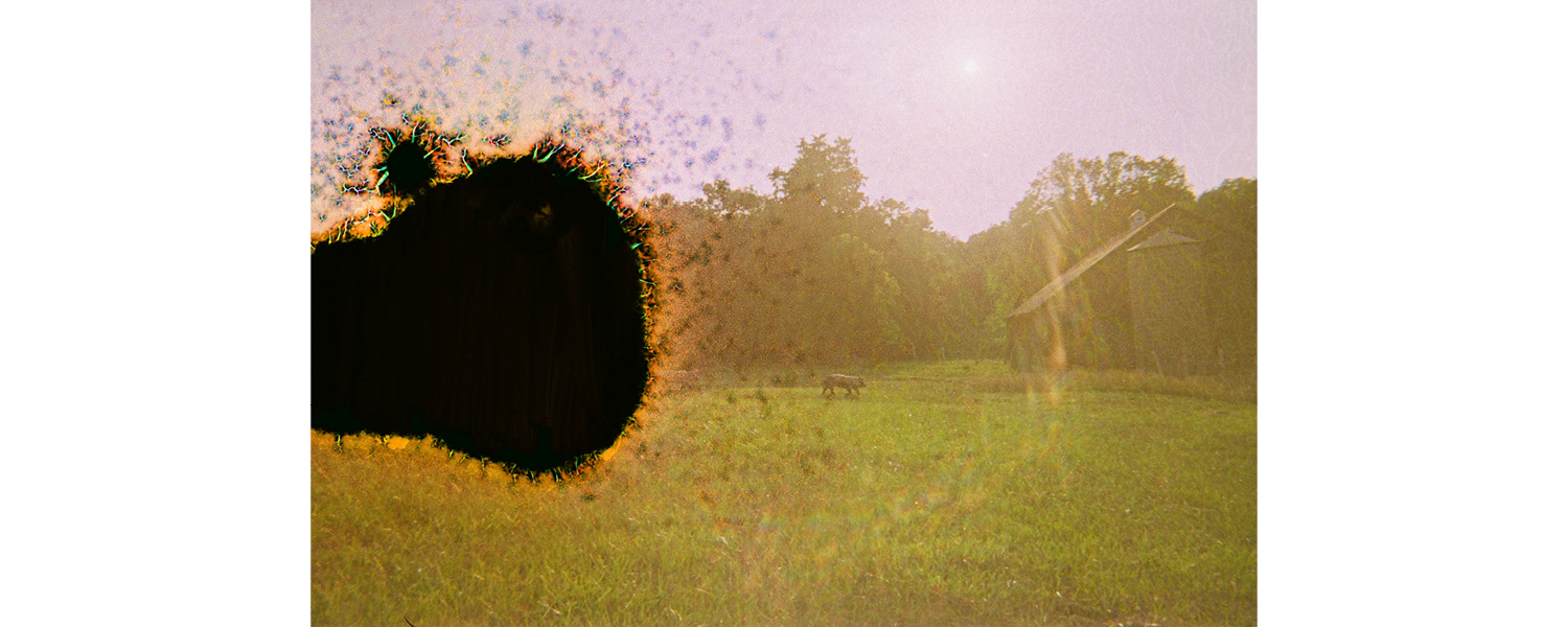 Event Image: FRAGMENTS & THROUGHLINES: A Student Showcase of Nonfiction Video Works